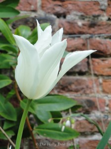 DSC00598 - THTT signed