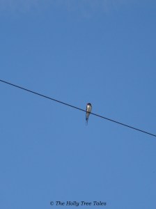 A Power of Prosperity moment.