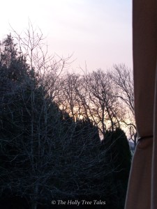 Morning light in Winter