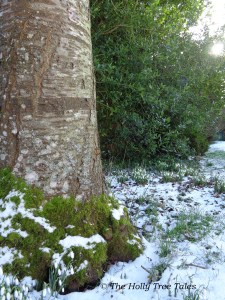 DSC04984 - THTT signed