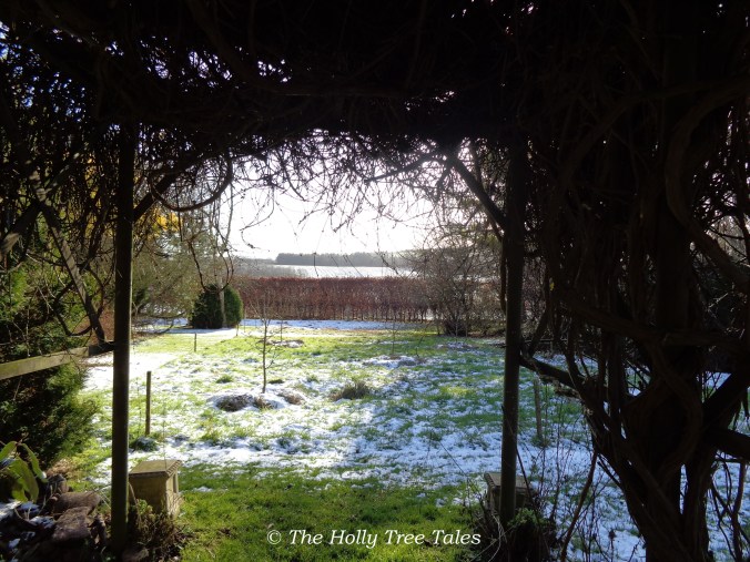 Sometimes Nature has a way of reflecting what we might be experiencing!