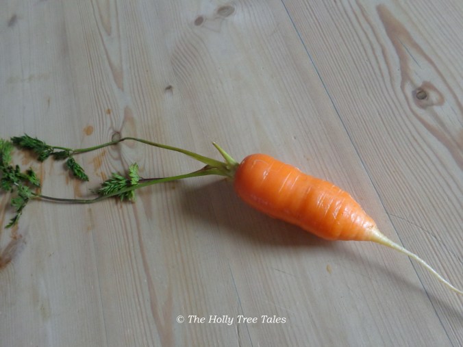 DSC05394 - THTT signed