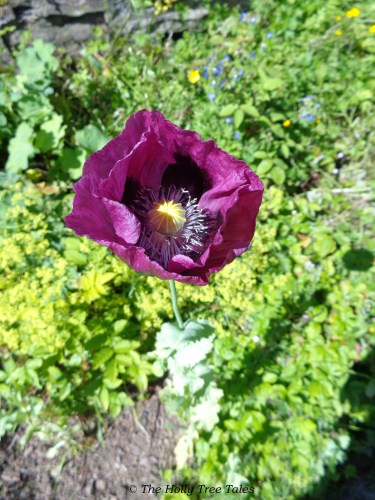 For Women of courage, brave enough to stand alone, in order to make a difference.