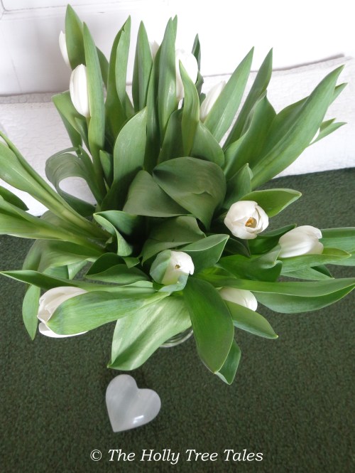 ???????????????????????????????