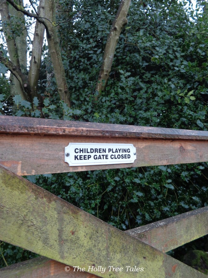 Children playing. Keep gate closed.
