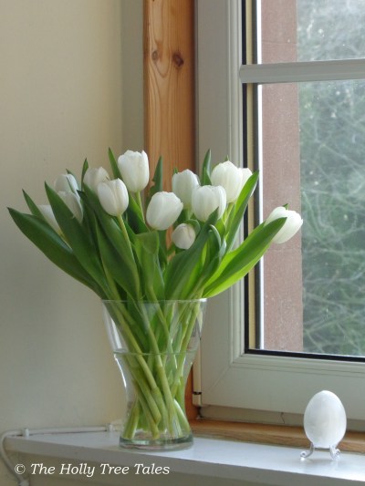 DSC05557 - THTT signed