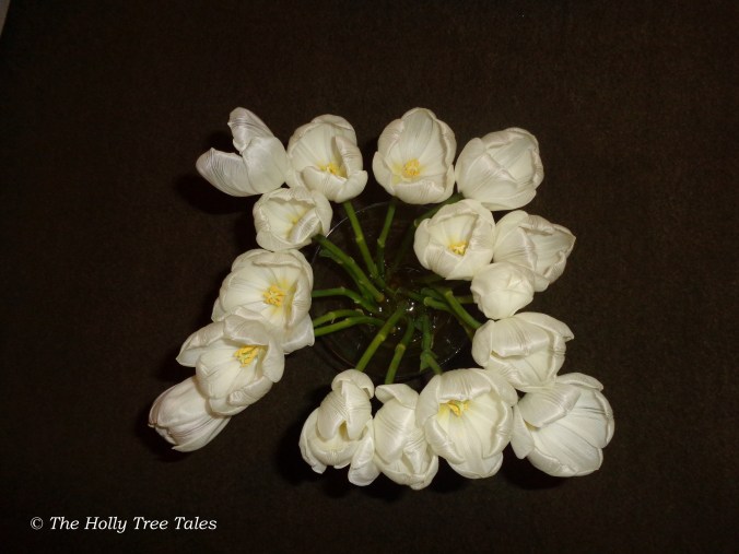 DSC05790 - THTT signed