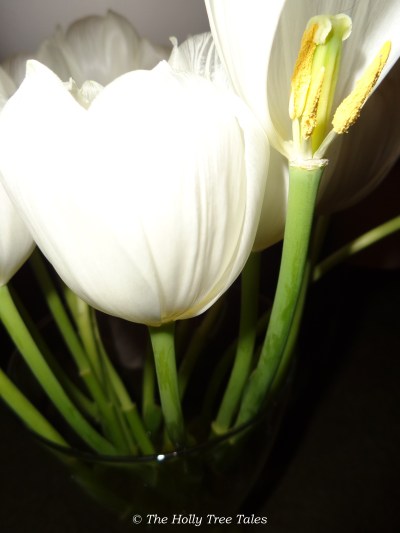 DSC05791 - THTT signed