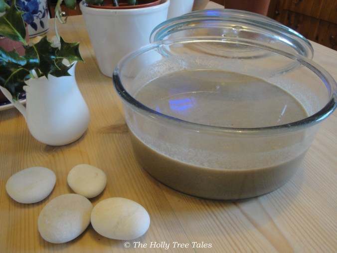 Delicious organic Mushroom soup, made with love.