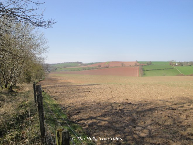 Monoculture, reliant on manmade chemicals to produce viable crops, the farmland in this photograph owned by three separate farming businesses, all operating their machines and cropping activity at the same time.
