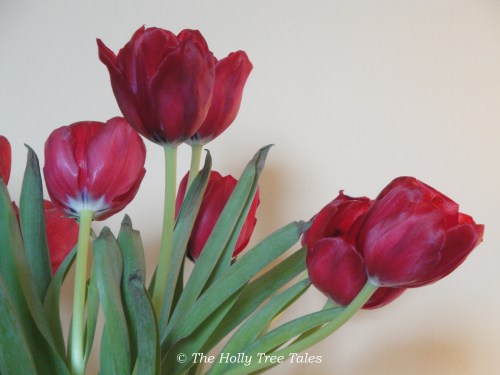 DSC09913 - THTT signed