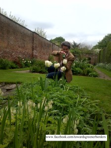 The Author, photographing Summer beauty in an organically managed garden in England.