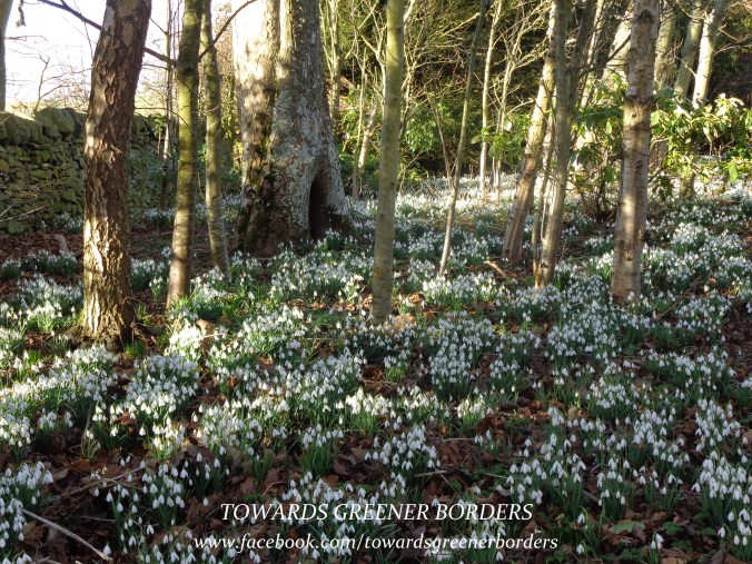 DSC05261 - TGB signed