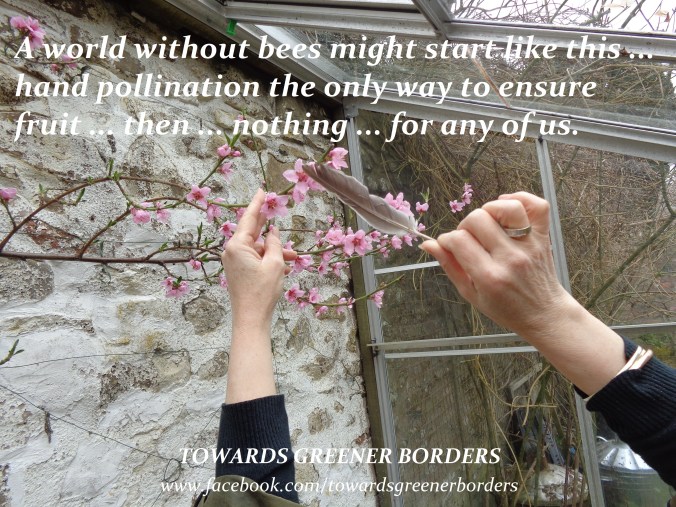 DSC06017 - Quote re pollination - TGB signed