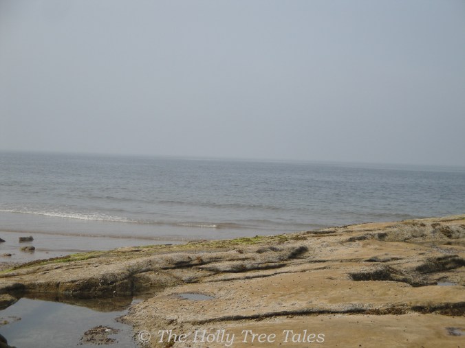 DSC04027 - THHT signed