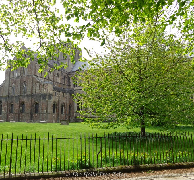 DSC07016 - cropped - THTT signed