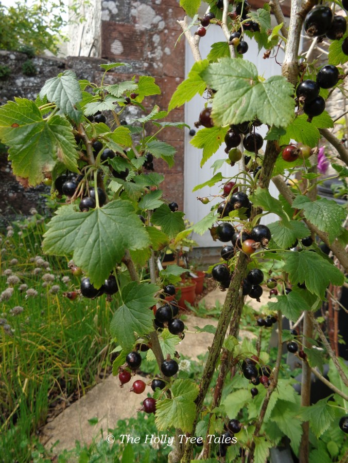 DSC09057 - THTT signed