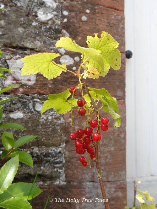 DSC09058 - THTT signed