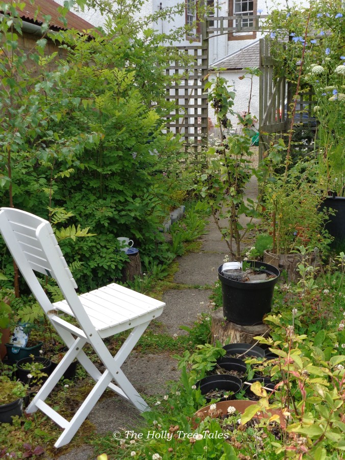 DSC09065 - THTT signed