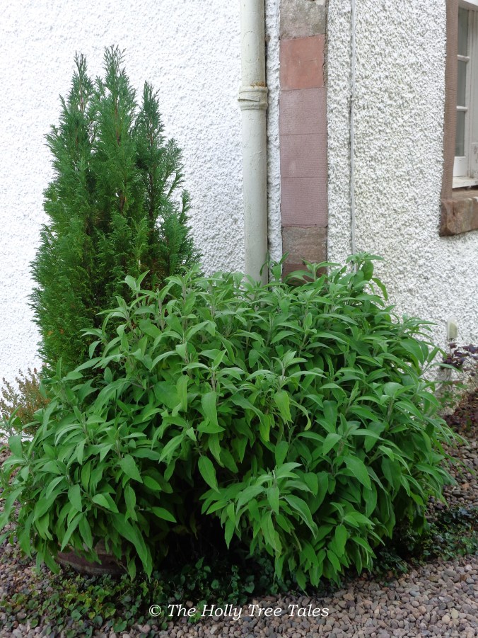 DSC09144 - THTT signed