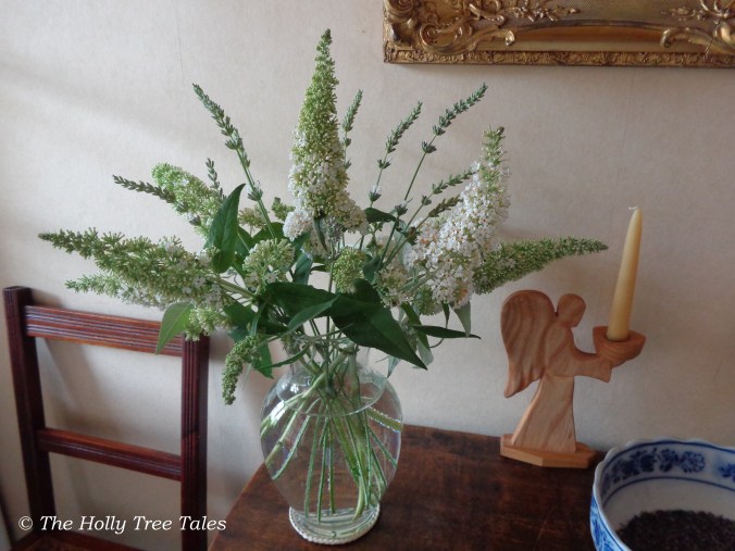 DSC09246 - THTT signed