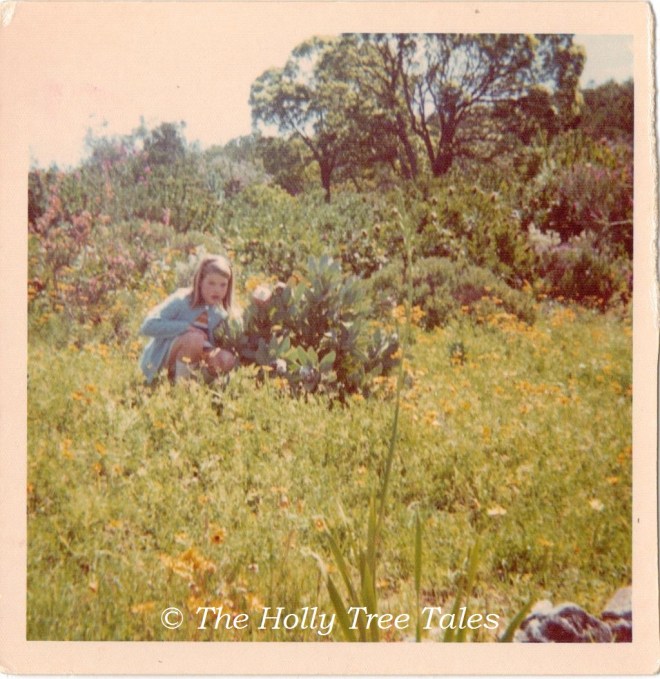 Holly amongst plants enroute Cape Town perhaps - around 1973 - THTT signed