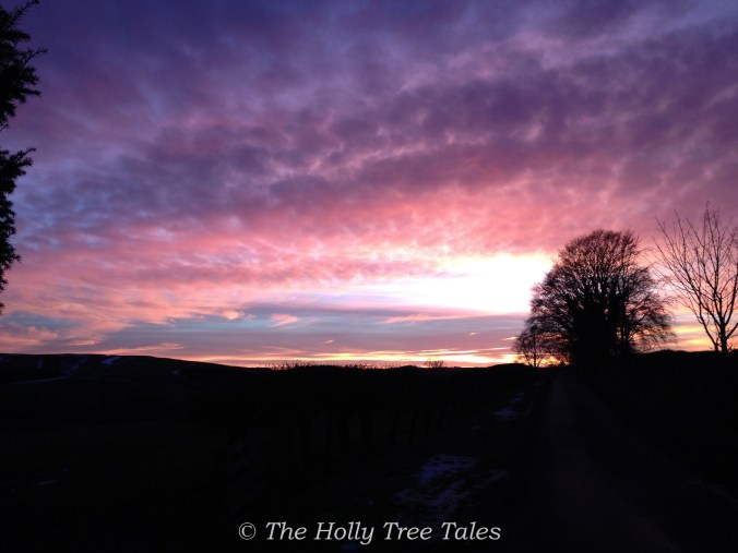Looking South-West at a spectacular evening sky, from outside the Author's home, in February 2015.