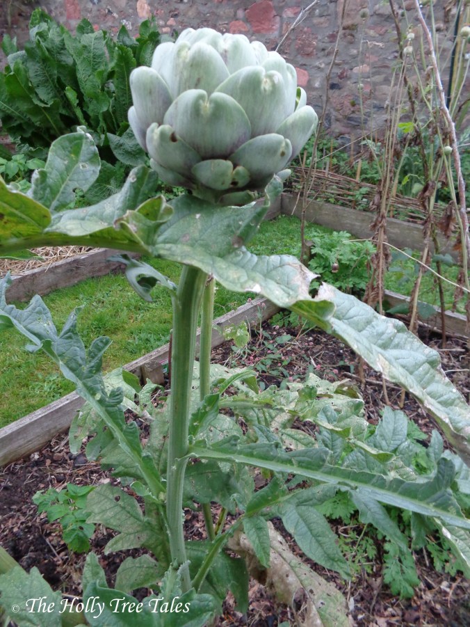 DSC00243 - THTT signed