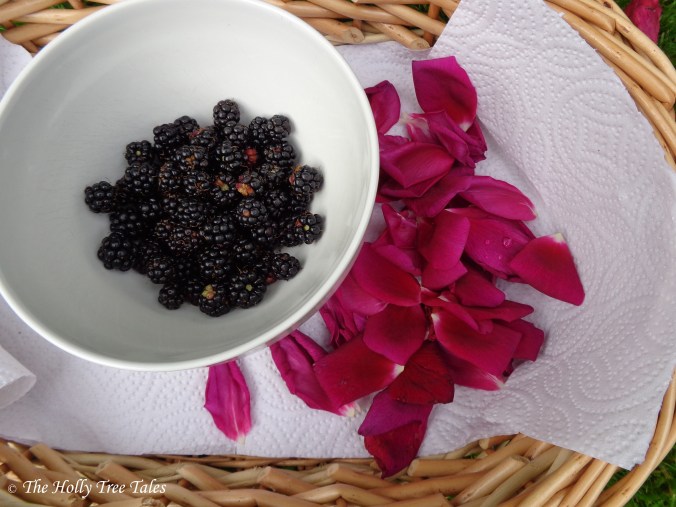 DSC00271 - THTT signed