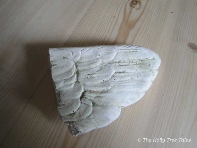 DSC01535 - THTT signed