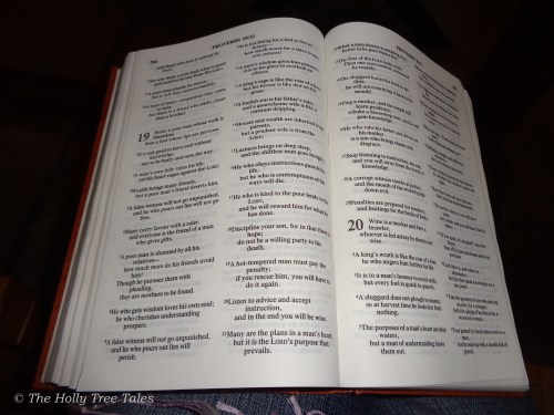 DSC07049 - THTT signed