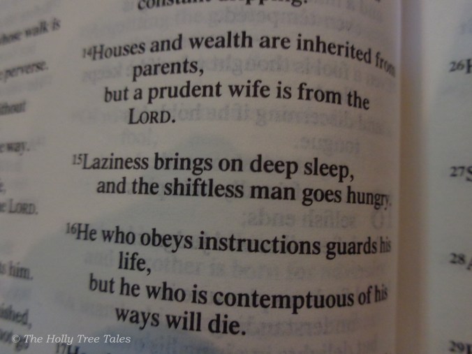 DSC07051 - THTT signed