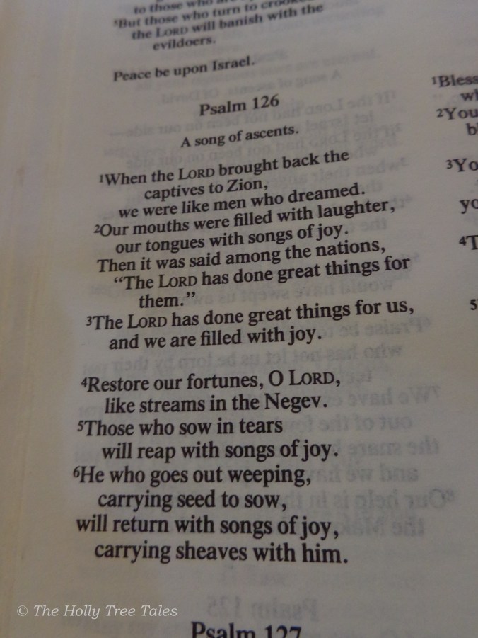 DSC07059 - THTT signed