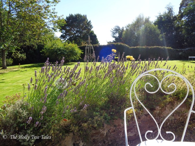 DSC00536 - THTT signed