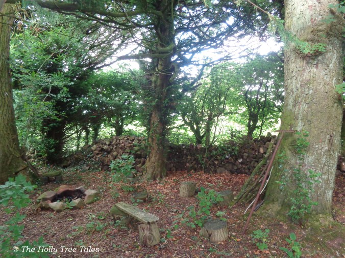 DSC08365 - THTT signed