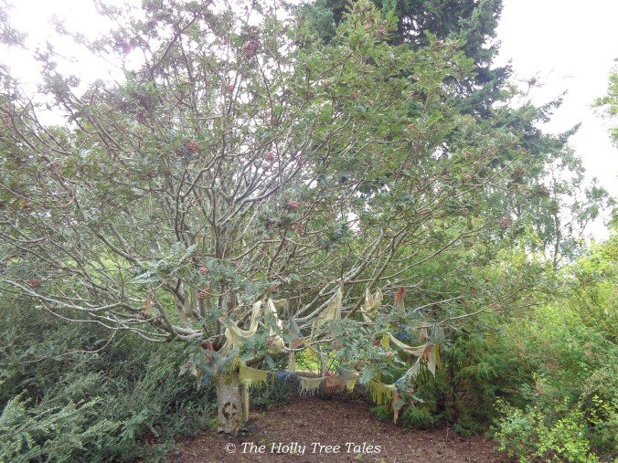 DSC08869 - THTT signed