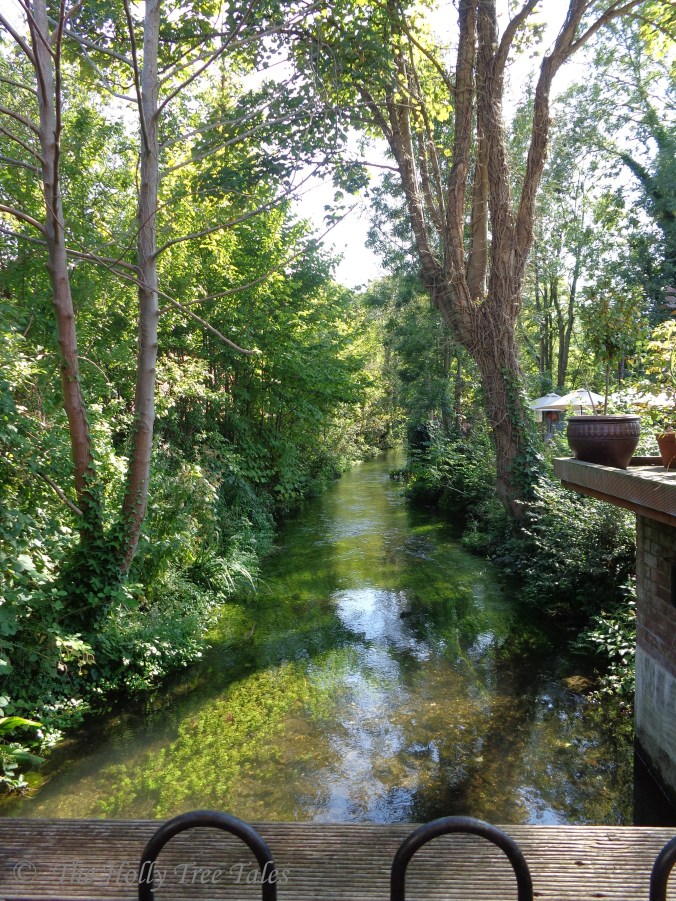 DSC09801 - THTT signed