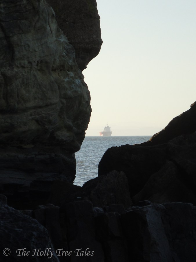 DSC09928 - THTT signed