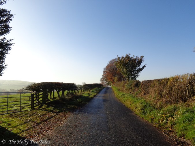 DSC00738 - THTT signed