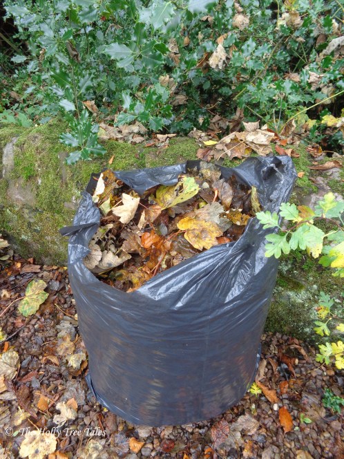 DSC00923 - THTT signed