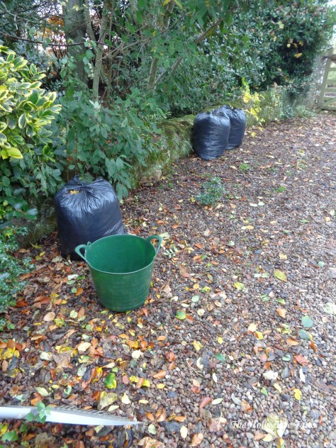 DSC00925 - THTT signed