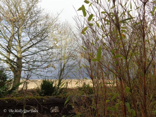 DSC00928 - THTT signed