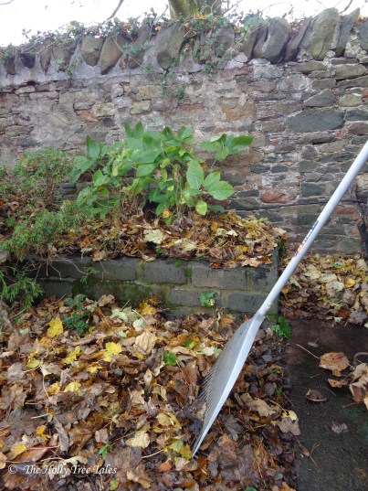 DSC00935 - THTT signed