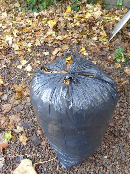 DSC00936 - THTT signed