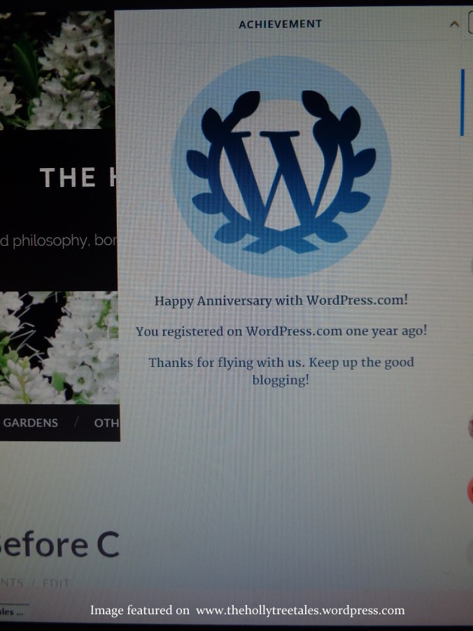 DSC01872 - Image featured on www.thehollytreetales.wordpress.com - received 1 January 2015