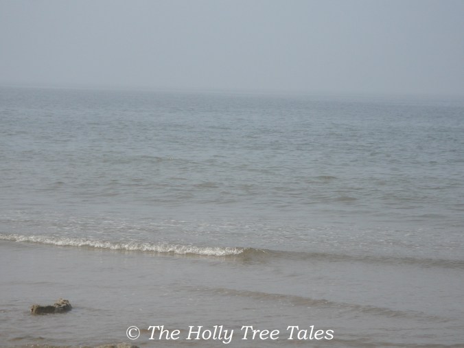 DSC04036 - THTT signed