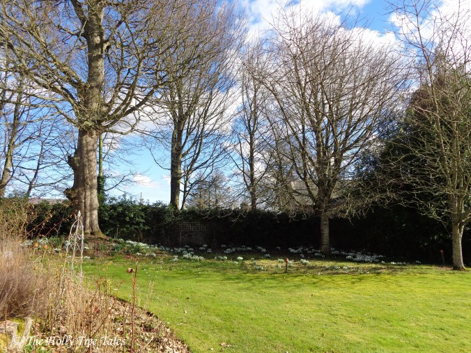 DSC02778 - THTT signed