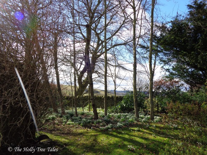 DSC02789 - THTT signed