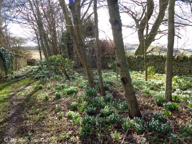 DSC02790 - THTT signed