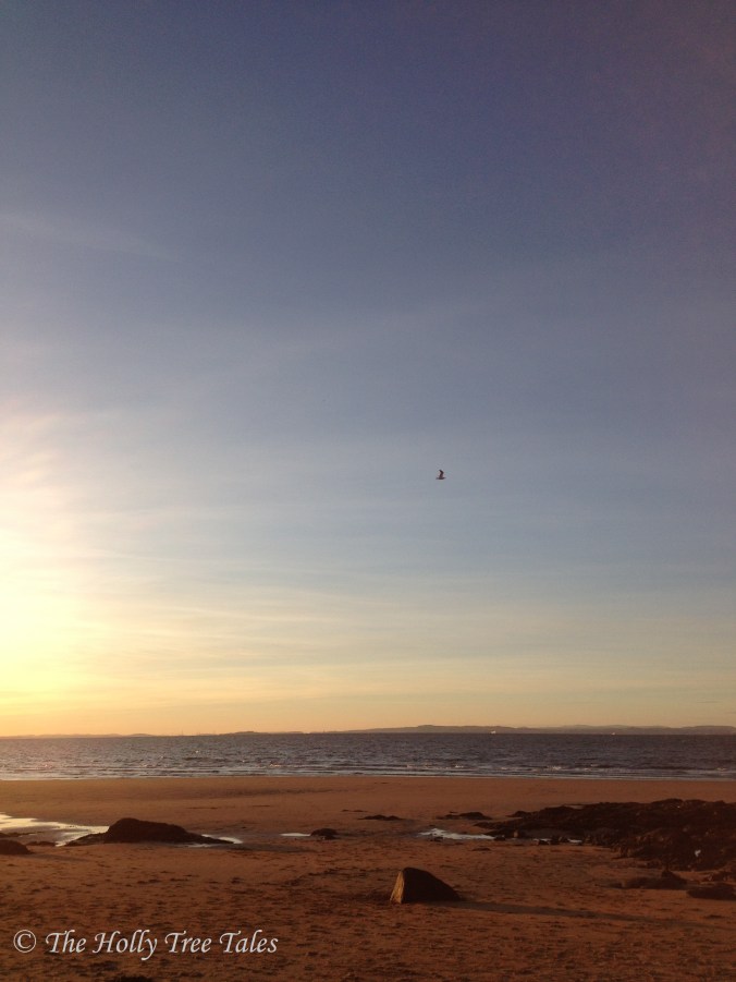 IMG_4886 - THTT signed